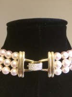 eve-collection2-e1406865965917-225x300